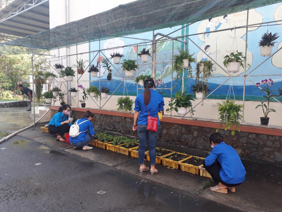 b598c4bb007bfb25a26a