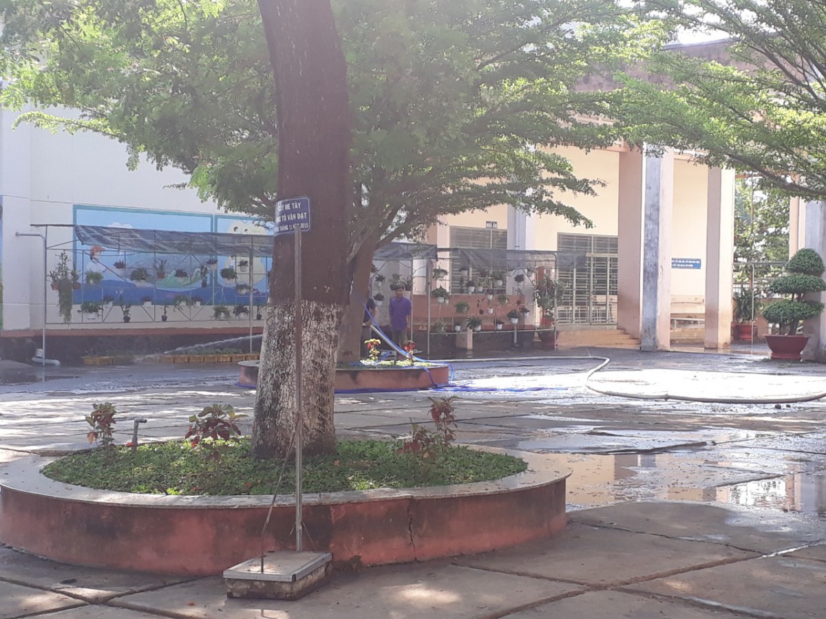 cbf2972052e0a9bef0f1